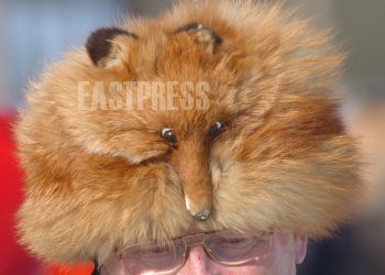 EA065216, Eastpress, Inari, Suomi